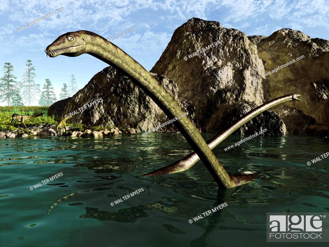 Stock Photo: Tanystropheus reptiles. Illustration of a pair of long-necked six-metre-long reptiles of the genus Tanystropheus swimming in an ocean bay 230 million years ago.