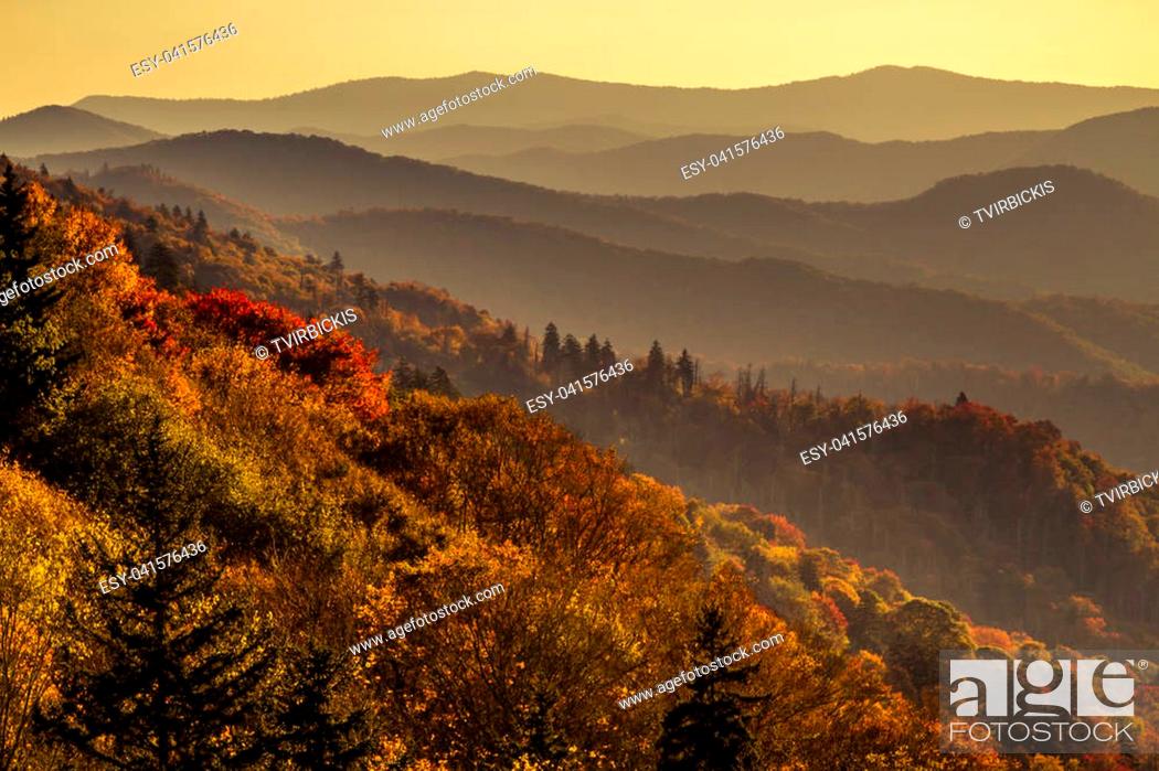 Stock Photo: Hazy mountain layers with colorful fall foilage in early morning light in Great Smoky Mountains National Park.