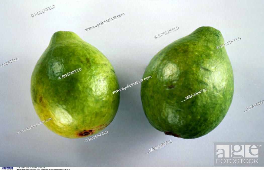 Stock Photo: Guava, Tropical fruit.