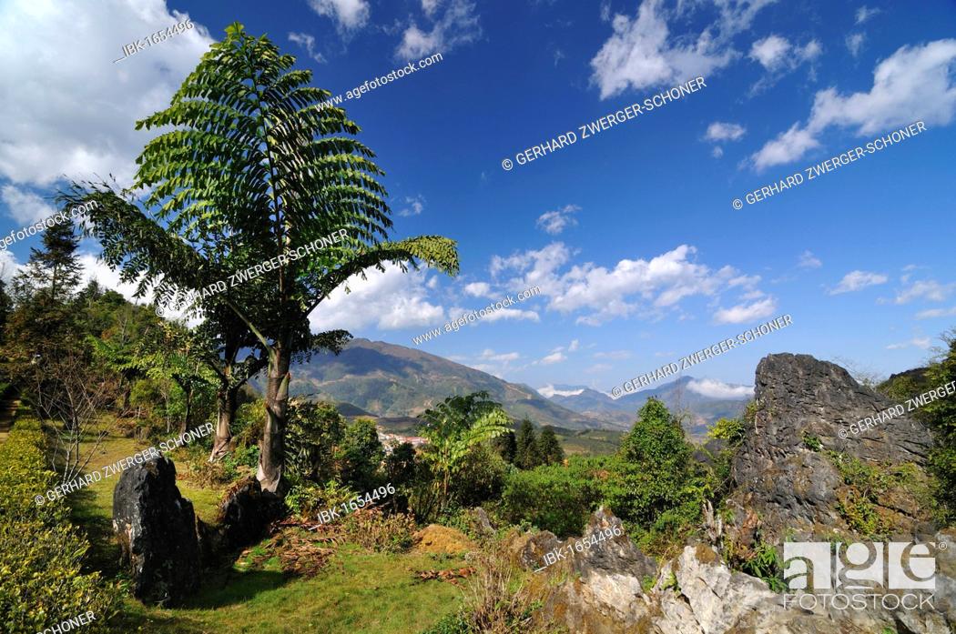 Photo de stock: Ham Rong Mountain, Dragon Jaw Mountain, Sapa, Vietnam, Asia.
