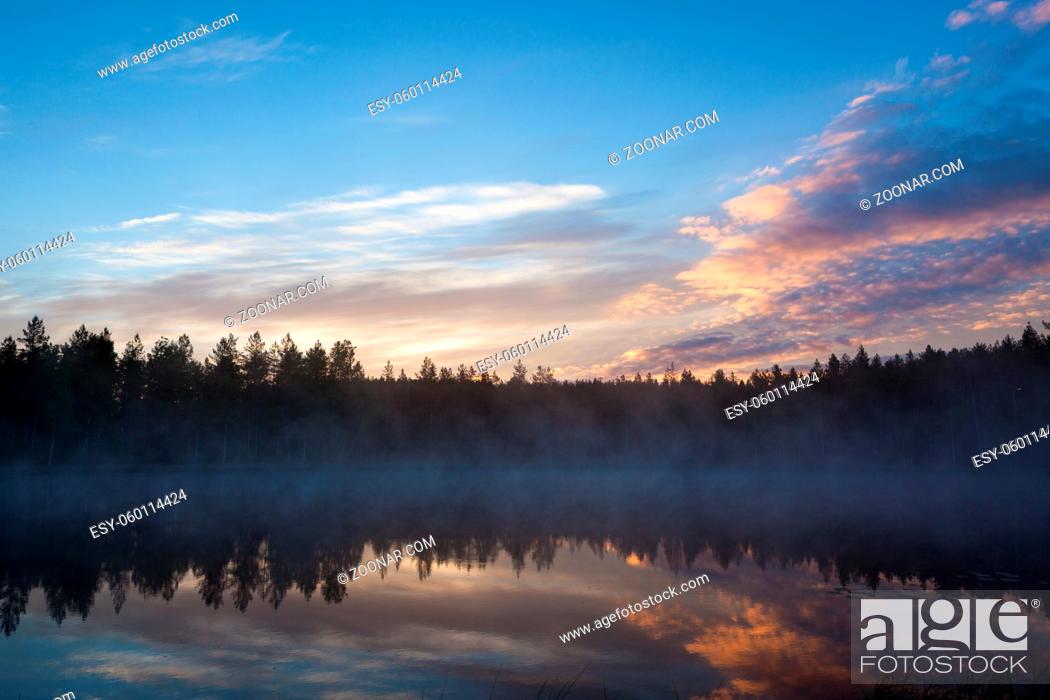 Stock Photo: Foggy morning at forest pond landscape Finland.