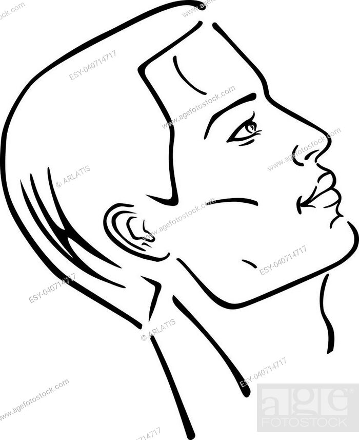 Man hairstyle head (side), vector illustration isolated on white background,  Stock Vector, Vector And Low Budget Royalty Free Image. Pic. ESY-040714717  | agefotostock
