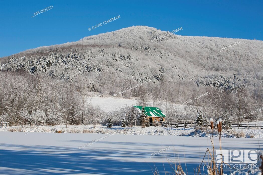 Stock Photo: snow covered trees on a mountain and a stable with a green roof, iron hill quebec canada.