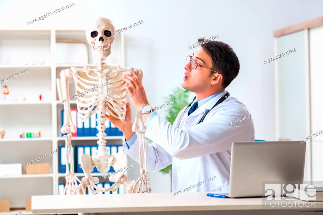 Stock Photo: Yong male doctor with skeleton isolated on white.