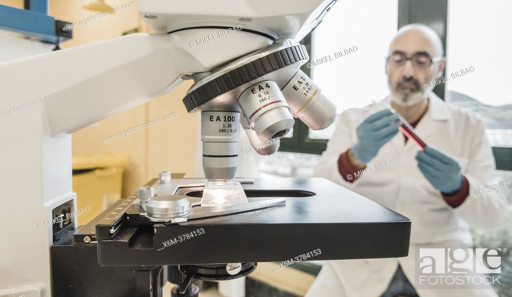 Stock Photo: Microscope and male researcher in his 50's in a lab coat with test tubes in a laboratory. Basque Country, Spain, Europe.