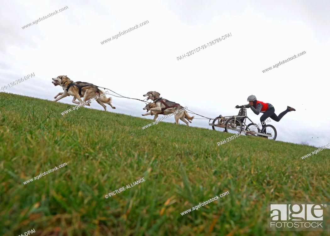 Stock Photo: dpatop - 07 January 2023, Saxony-Anhalt, Hasselfelde: A participant of the 22nd International Sled Dog Race in the western town of Pullman City Harz during the.