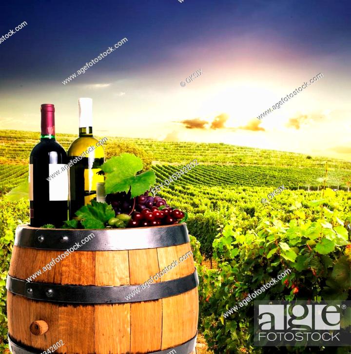Photo de stock: Bottles of wine on the oak barrel over vineyards on the background. Winery concept.