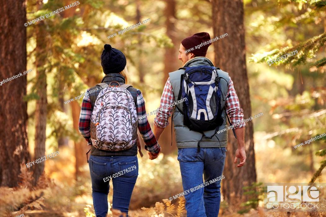 Stock Photo: Couple enjoying hike in a forest, back view, California, USA.
