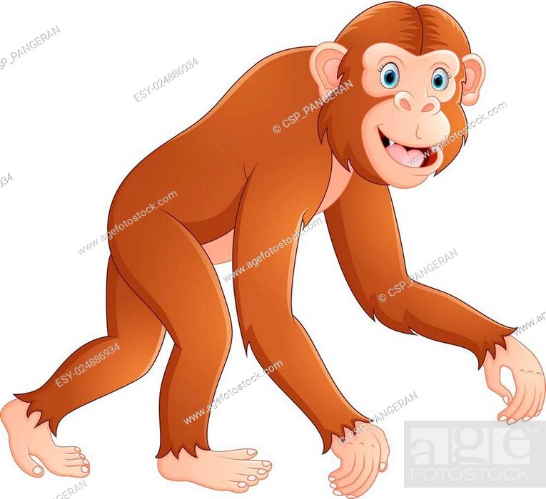 Cartoon funny monkey, Stock Vector, Vector And Low Budget Royalty Free  Image. Pic. ESY-024886934 | agefotostock