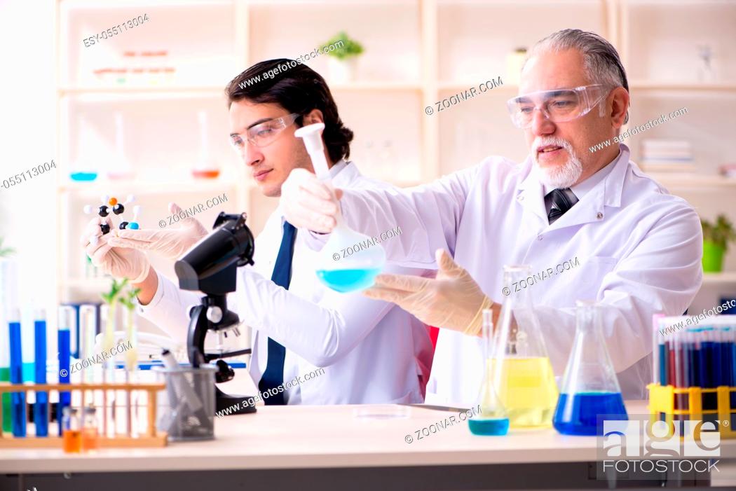 Stock Photo: Two chemists working in the lab.