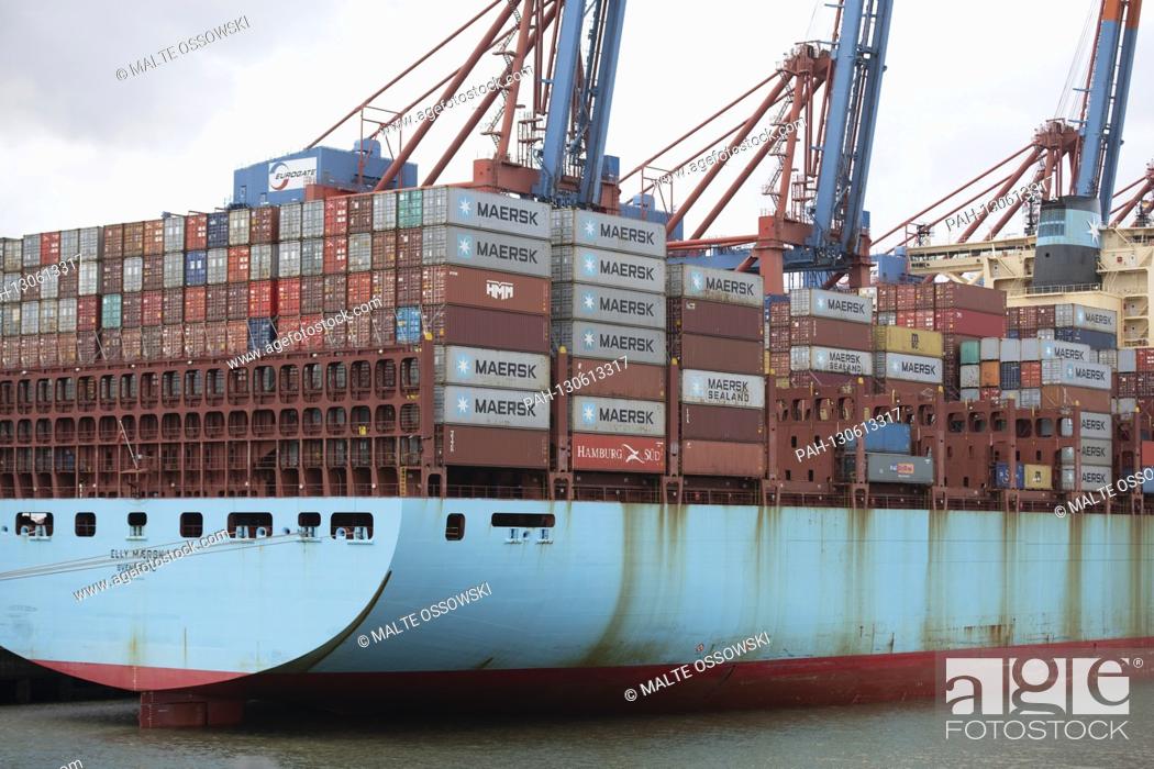 Stock Photo: The container ship Elly Maersk lies at the container terminal Eurogate and is loaded over container bridges, Hamburg Waltershof on February 17th, 2020.
