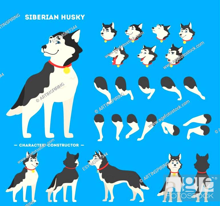 Cute siberian husky dog character animation set with various views, face  emotions and poses, Stock Vector, Vector And Low Budget Royalty Free Image.  Pic. ESY-045887344 | agefotostock