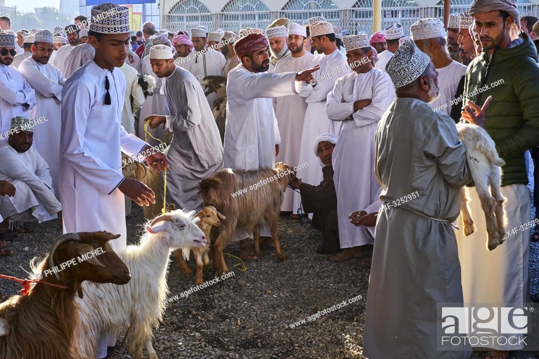 Stock Photo: Sultanat d'Oman, gouvernorat de Ad-Dakhiliyah, Nizwa, le marché aux bestiaux du vendredi /Sultanate of Oman, Ad-Dakhiliyah Region, Nizwa, friday cattle market.