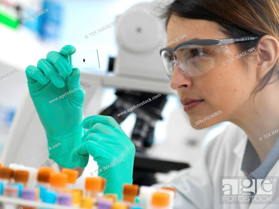 Stock Photo: Scientists viewing a medical sample on a glass slide under a microscope in the laboratory.