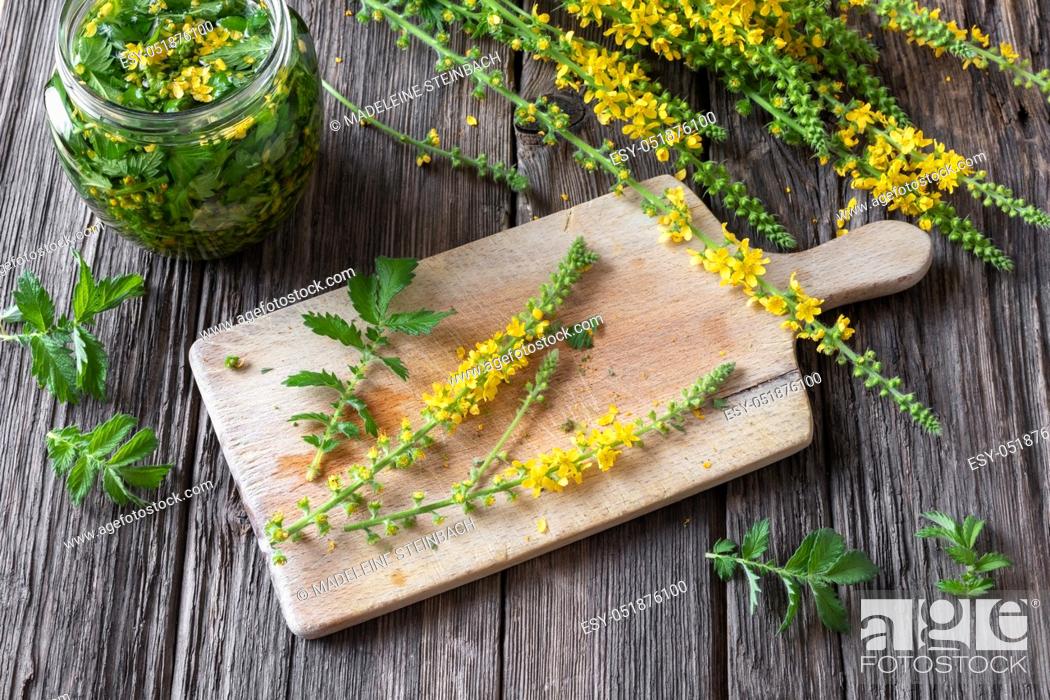Stock Photo: Blooming agrimony plant on a cutting board on a table, with herbal tincture in a jar.