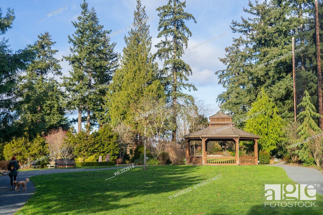 Stock Photo: Evergreen Arboretum & Gardens is both a place of beauty and education that is free to visit. The arboretum is located on 3 ½ acres in American Legion Memorial.