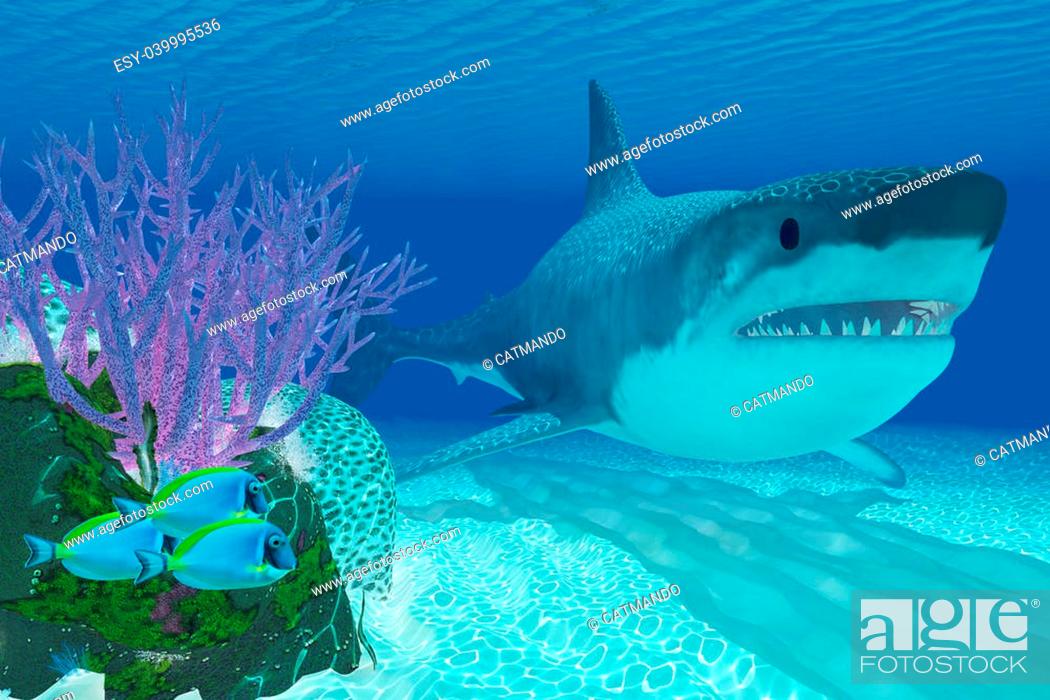 Stock Photo: A huge Megalodon shark swims next to a colorful coral reef in clear ocean waters.