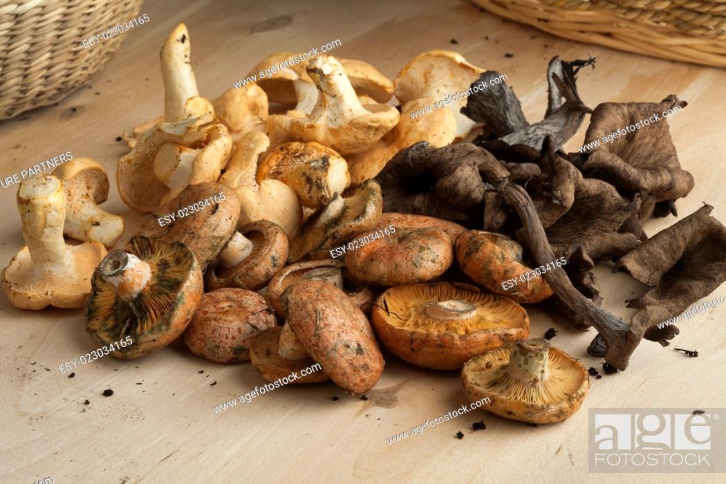 Stock Photo: Variety of fresh picked wild mushrooms.