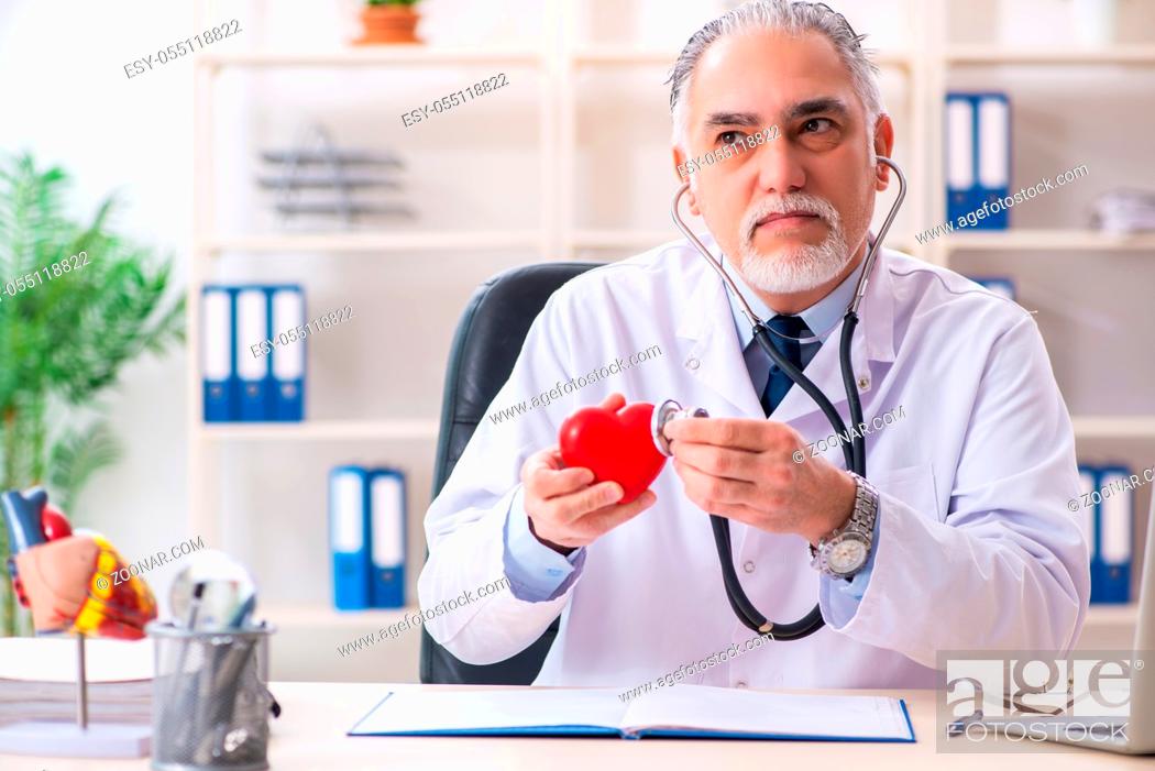 Imagen: Aged male doctor cardiologist with heart model.