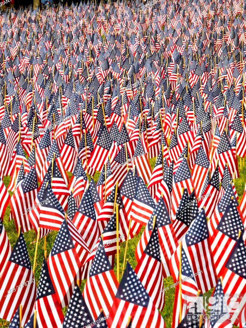 Stock Photo: A total of 37, 000 US flags are planted in Boston Common to commemorate Massachusetts combat deaths in all wars in observance of Memorial Day.
