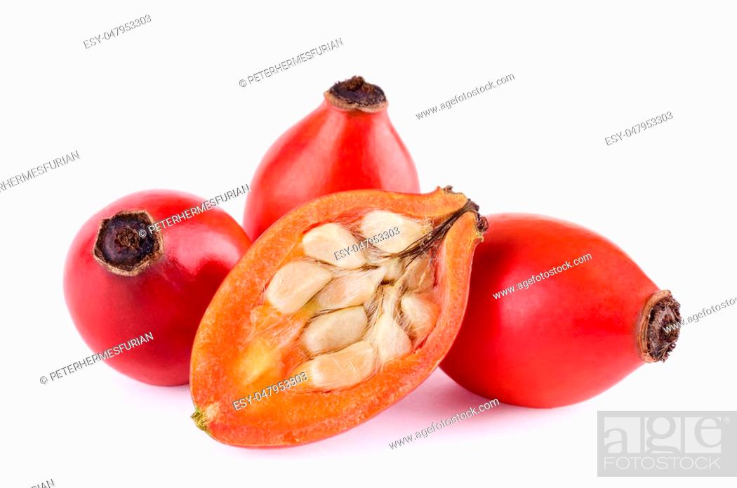 Stock Photo: Rose hips with fruit cross-section over white. Rose haw or rose hep. Ripe red fruits, showing seeds with hairs. They can be used as itching powder.