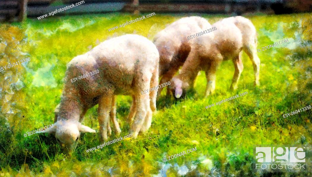 Stock Photo: Little lambs grazing on a beautiful green meadow with dandelion. Computer painting effect.