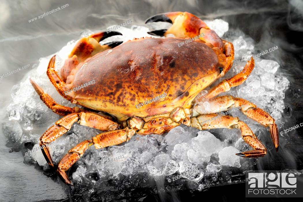 Stock Photo: Fresh raw Florida stone crab on heap of ice on black stone plate with icy frost cold steam fog. Fresh food seafood at market concept.