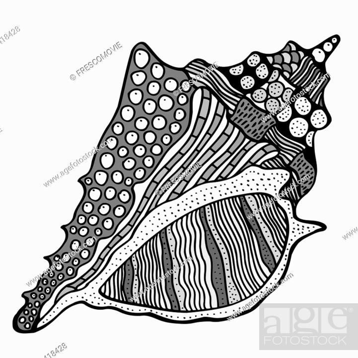 Zentangle stylized shell. Hand Drawn aquatic doodle vector illustration,  Stock Vector, Vector And Low Budget Royalty Free Image. Pic. ESY-028418428  | agefotostock