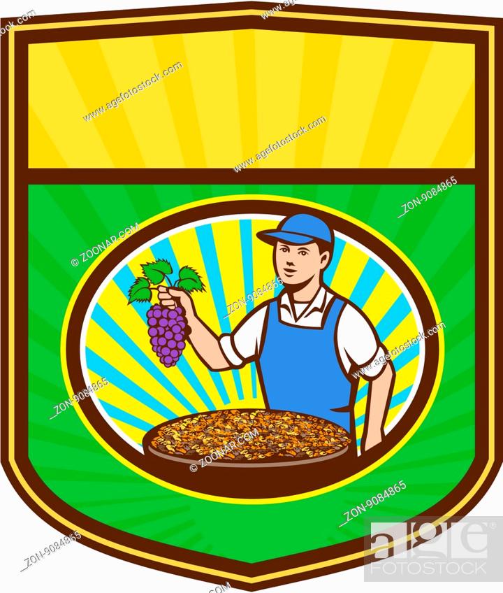 Stock Photo: Illustration of an organic farmer boy wearing hat holding grapes with a bowl of raisins in front of him viewed from front set inside shield crest with sunburst.