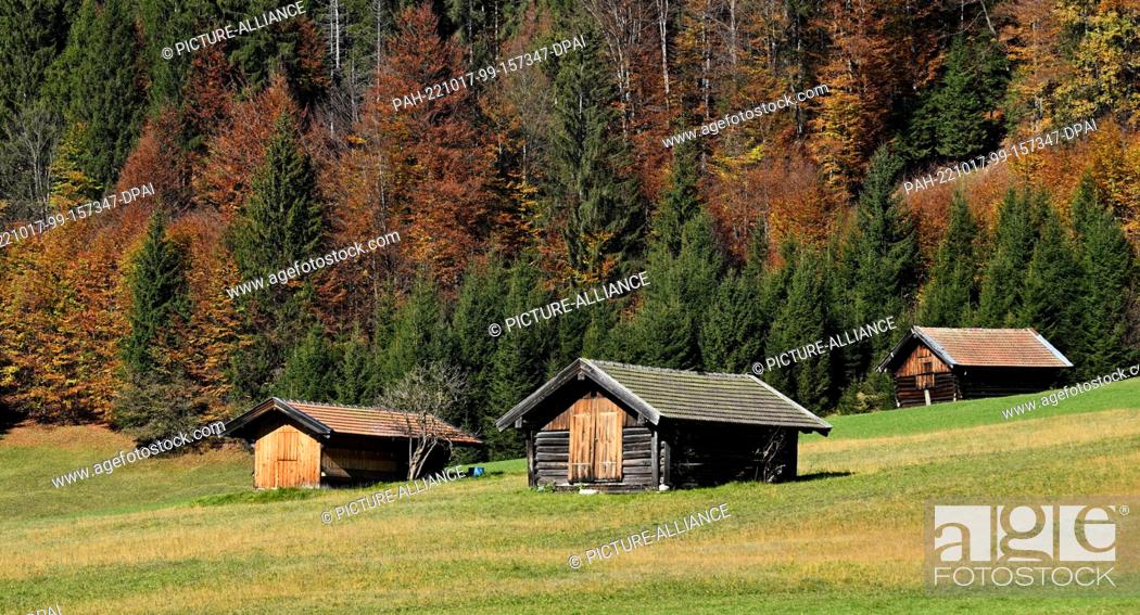 Stock Photo: 17 October 2022, Bavaria, Gerold: The trees in the mountain forest at Lake Gerold are colored in autumn. Photo: Angelika Warmuth/dpa.