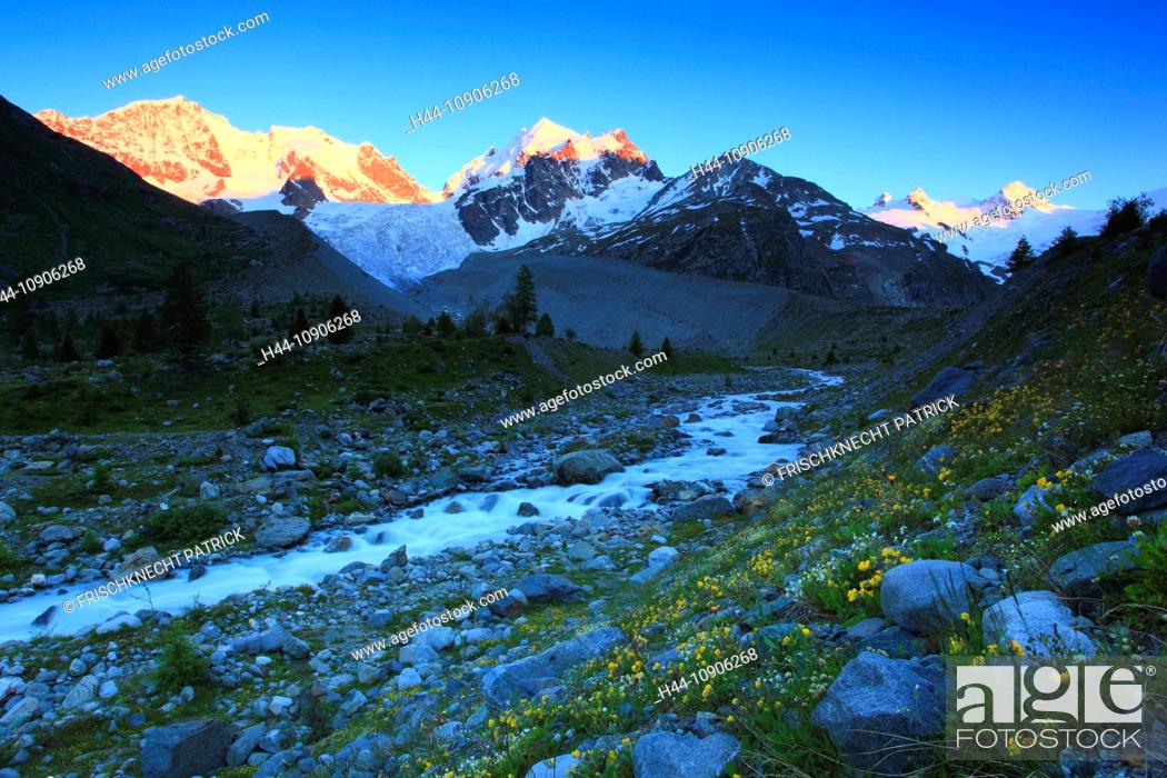 Stock Photo: Evening, Alps, afterglow, creek, brook, mountain, mountain panorama, mountain flowers, mountains, mountain flora, mountain spring, mountain panorama, Bernina.