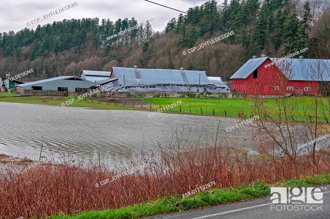 Stock Photo: Flooded Dairy Farm.