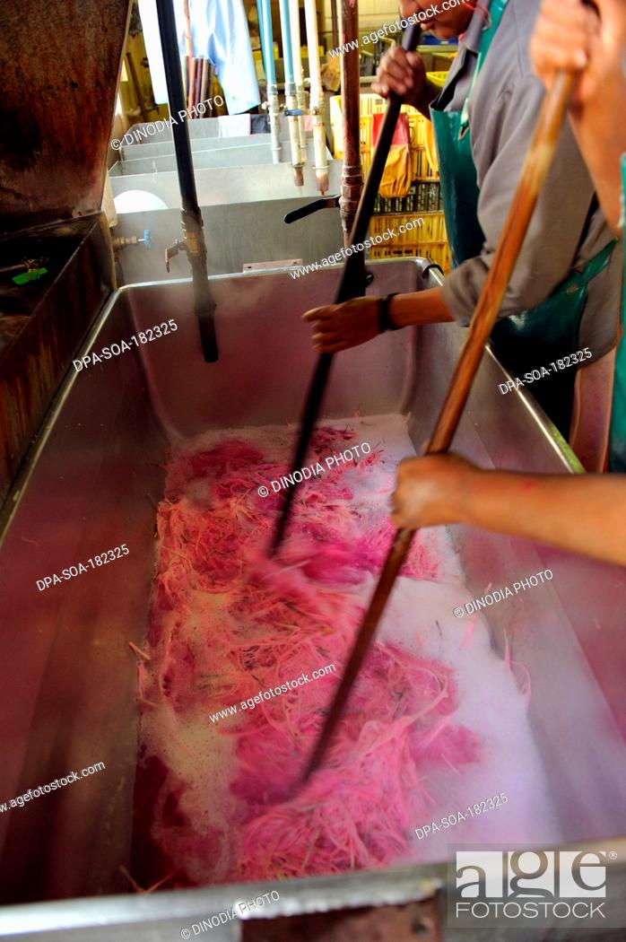 Stock Photo: Workers dyeing ostrich feathers in Feathers Factory south africa.