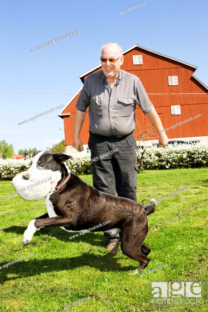 Stock Photo: A man playing with a dog Sweden.
