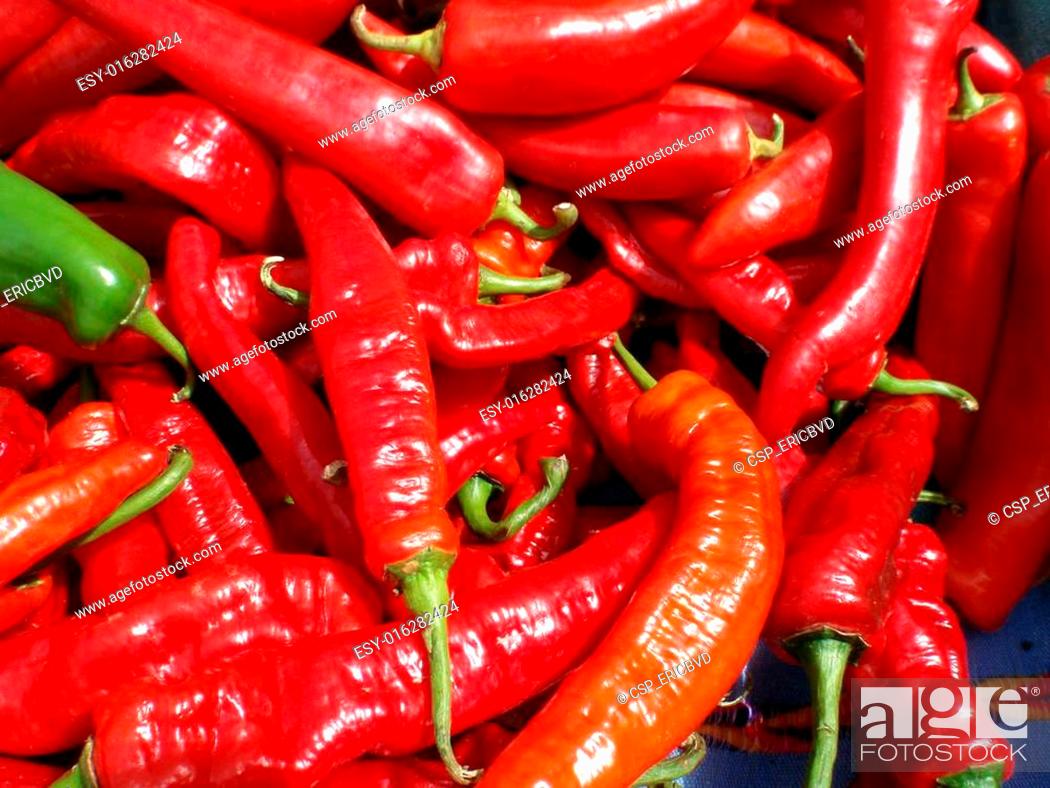 Stock Photo: Long Hot Red Peppers.