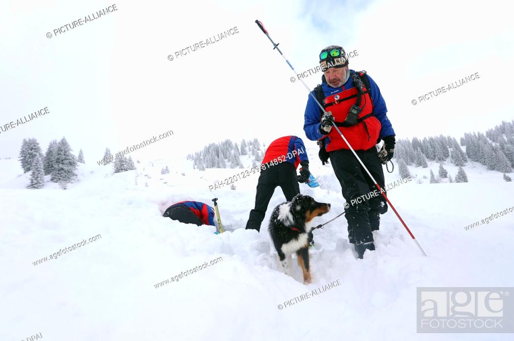 Stock Photo: 21 January 2022, Bavaria, Obermaiselstein: Dog handler Dörg Stephan runs through the snow with his avalanche search dog Amira during the avalanche dog course of.