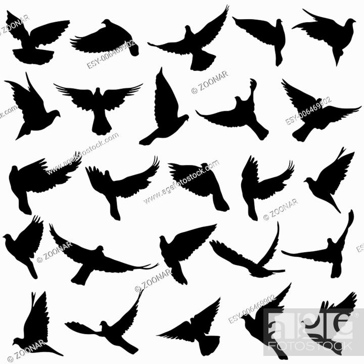 Stock Photo: Concept of love or peace. Set of silhouettes of doves. Vector illustration.