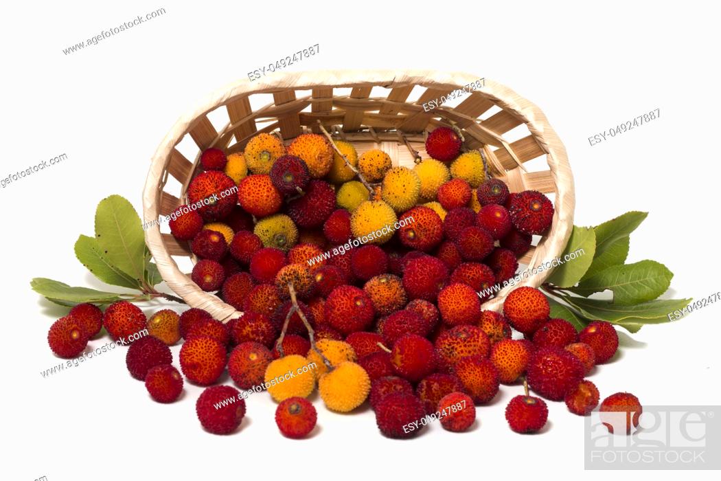 Photo de stock: Close up view of strawberry tree (Arbutus Unedo) fruit isolated in white background.