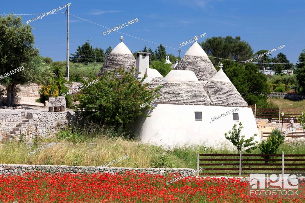 Stock Photo: Trulli houses, poppy seed field, close Alberobello, UNESCO world cultural heritage, Valle d'Itria, province of Bari, Apulia, Italy.