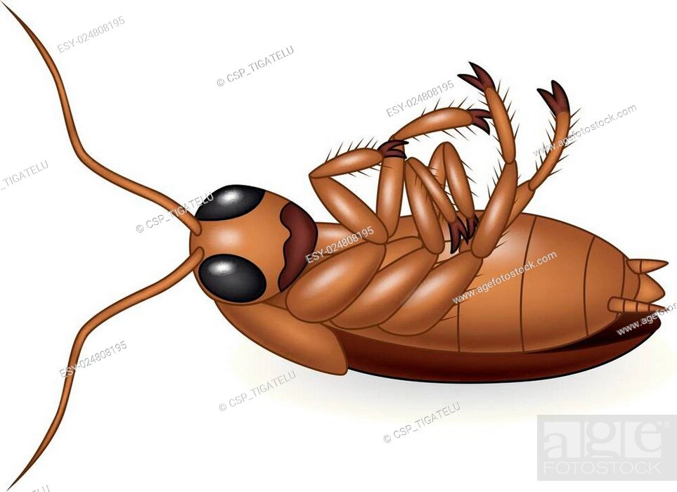 Cartoon dead cockroach Stock Photos and Images | agefotostock