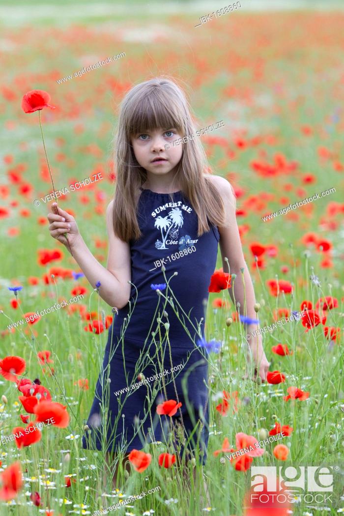 Stock Photo: Little girl standing in a poppy field.