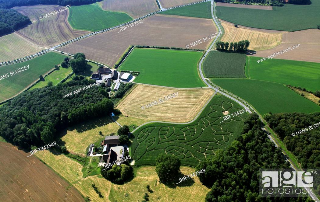 Stock Photo: Aerial view, Hof Luenemann farm, art in the cornfield, Maislabyrinth Forst Cappenberg corn maze, Hassel, Luenen, Ruhrgebiet region, North Rhine-Westphalia.
