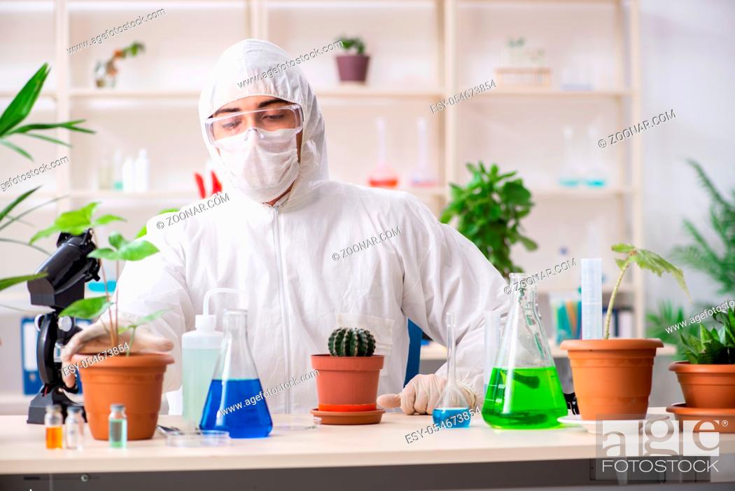 Stock Photo: The biotechnology chemist working in lab.