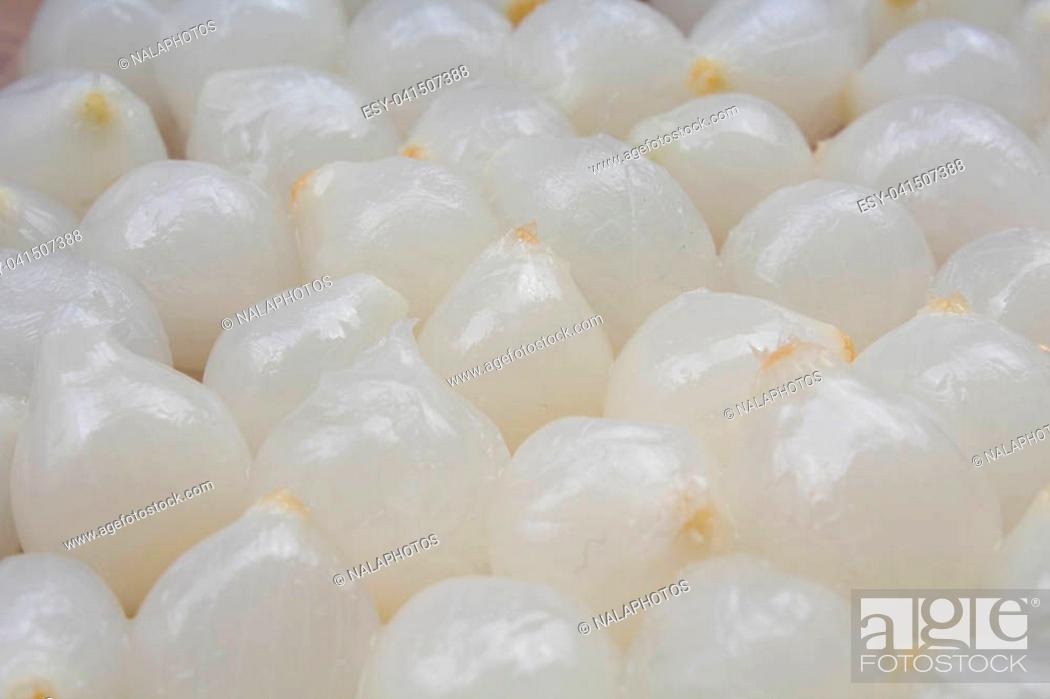 Stock Photo: White shallots texture. Shallot onion pattern. Little white onions.