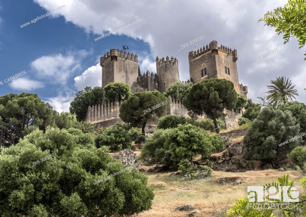 Imagen: Castle of Almodovar del Rio, It is a fortitude of Moslem origin, it was a Roman fort and the current building has definitely origin Berber.