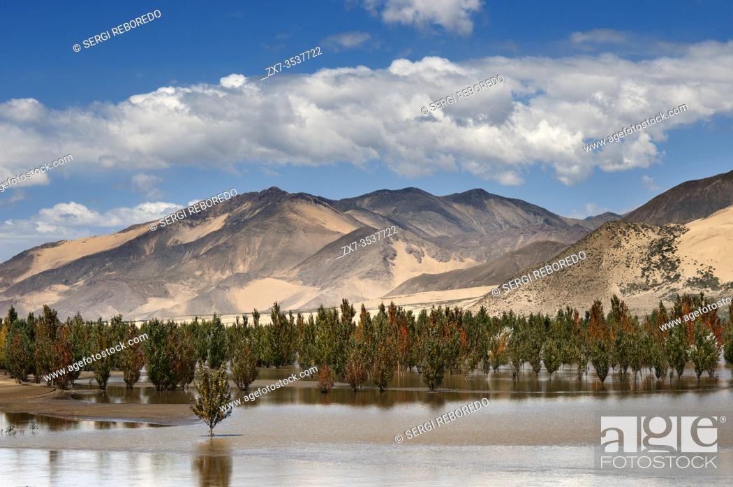 Stock Photo: Tibetan village in front of grainfields in the valley of the Yarlung Tsanpo, Brahmaputra, Tibet, China, Asia. Yarlung Tsangpo Brahmaputra River valley.