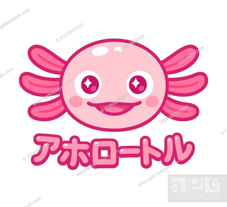 Kawaii axolotl face with Japanese name for Axolotl. Cute animal drawing, funny  cartoon illustration, Stock Vector, Vector And Low Budget Royalty Free  Image. Pic. ESY-057312596 | agefotostock