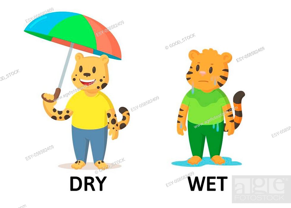Words strong and weak textcard with cartoon cheetah and tiger characters,  Stock Vector, Vector And Low Budget Royalty Free Image. Pic. ESY-058582409  | agefotostock