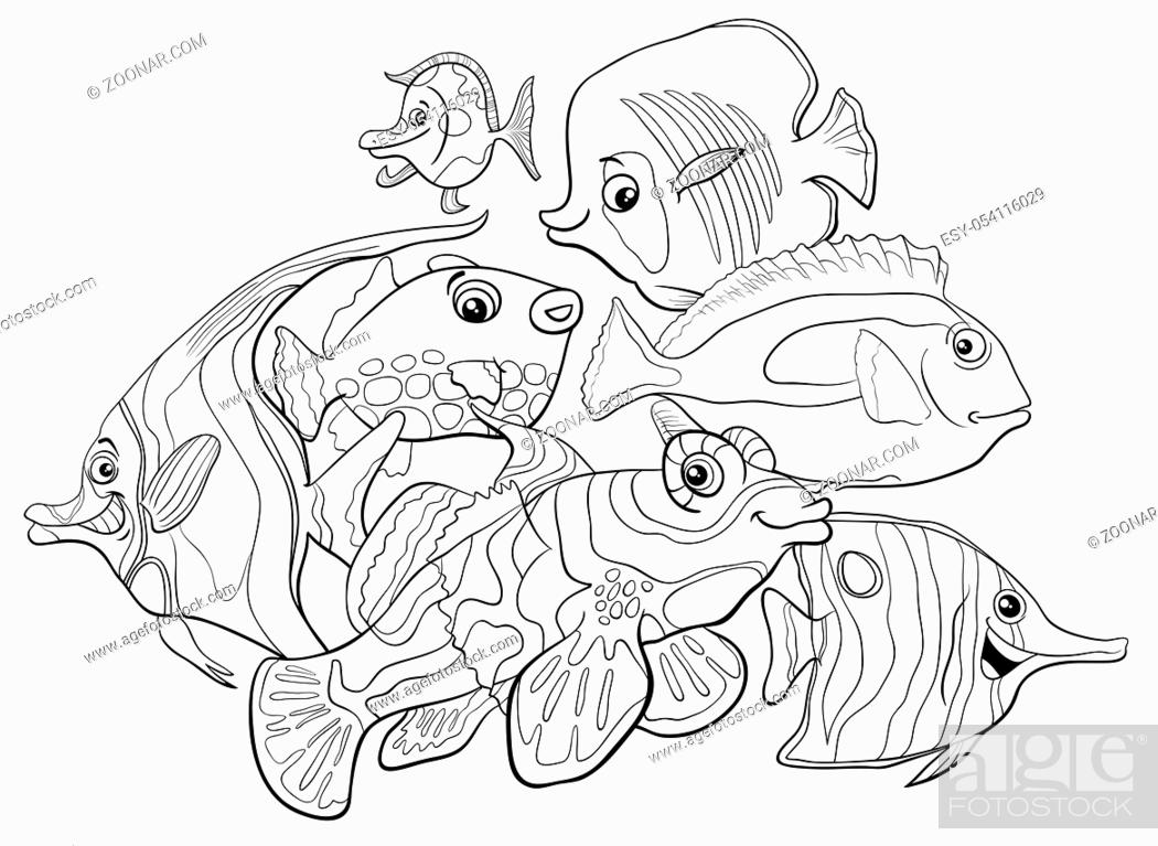 Black and White Cartoon Illustration of Tropical Fish Sea Life Animal  Characters Group Coloring Book, Stock Photo, Picture And Low Budget Royalty  Free Image. Pic. ESY-054116029 | agefotostock