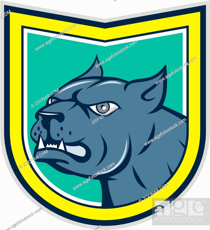 Illustration of an angry pitbull dog mongrel head looking to the side set  inside shield crest on..., Stock Photo, Picture And Low Budget Royalty Free  Image. Pic. ESY-051874980 | agefotostock
